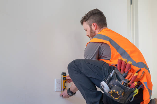 Best 24-Hour Electrician  in Blasdell, NY